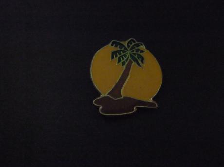 Palmboom op onbewoond eiland